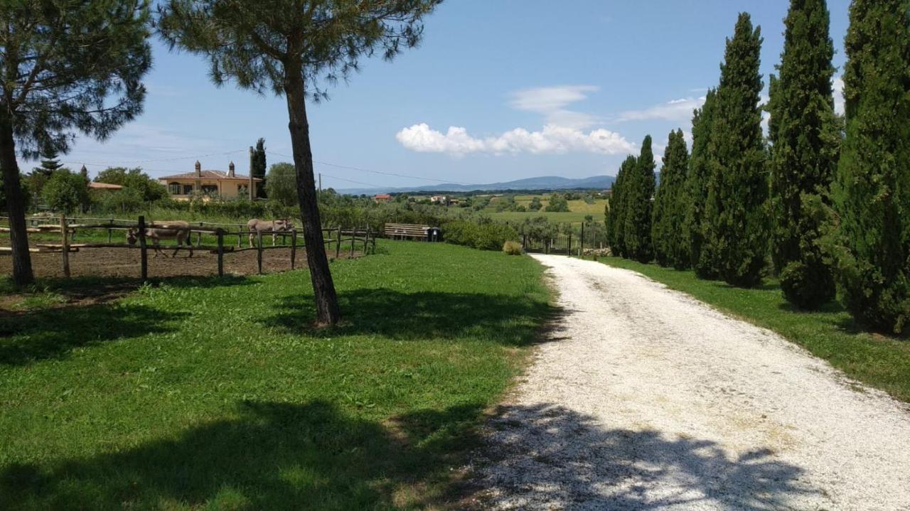Agriturismo Casale San Benedetto Ceri Exteriör bild