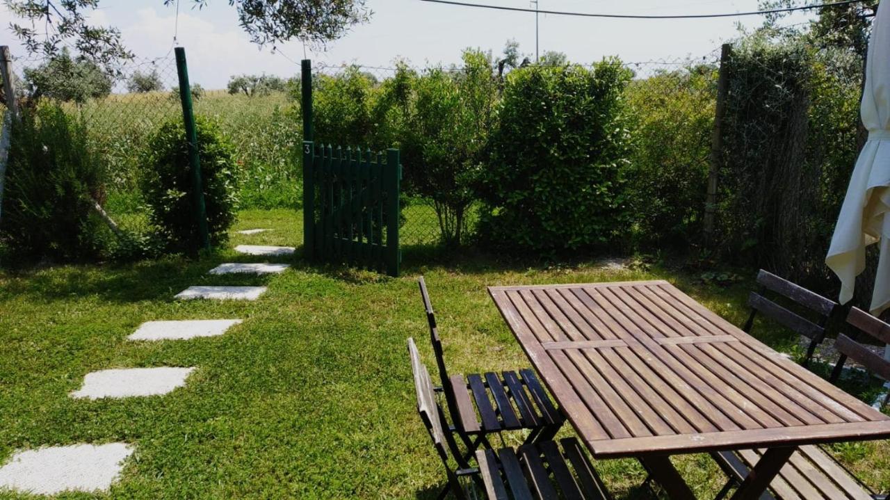 Agriturismo Casale San Benedetto Ceri Exteriör bild