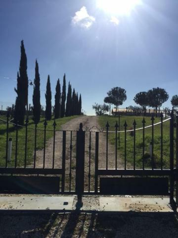 Agriturismo Casale San Benedetto Ceri Exteriör bild